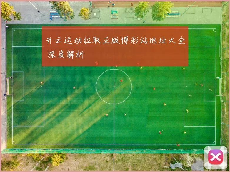 开云运动拉取正版博彩站地址大全 深度解析