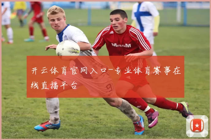开云体育官网入口-专业体育赛事在线直播平台