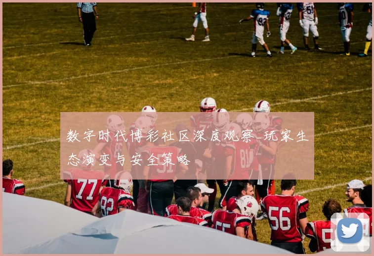 数字时代博彩社区深度观察_玩家生态演变与安全策略