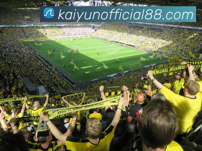 App Interface Preview